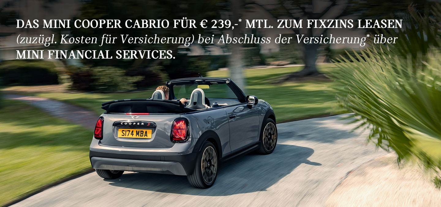 DAS MINI COOPER CABRIO